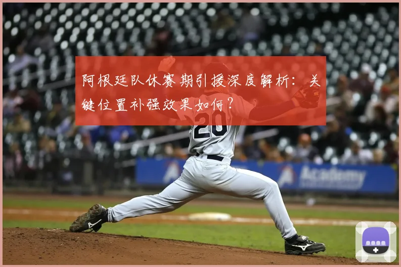 阿根廷队休赛期引援深度解析:关键位置补强效果如何?
